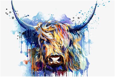 Highland Cow Print Stunning Highland Cow 1 Print by Rachel Froud ...