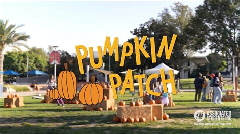 ASI's Pumpkin Patch at Cal State Fullerton 2023 - YouTube