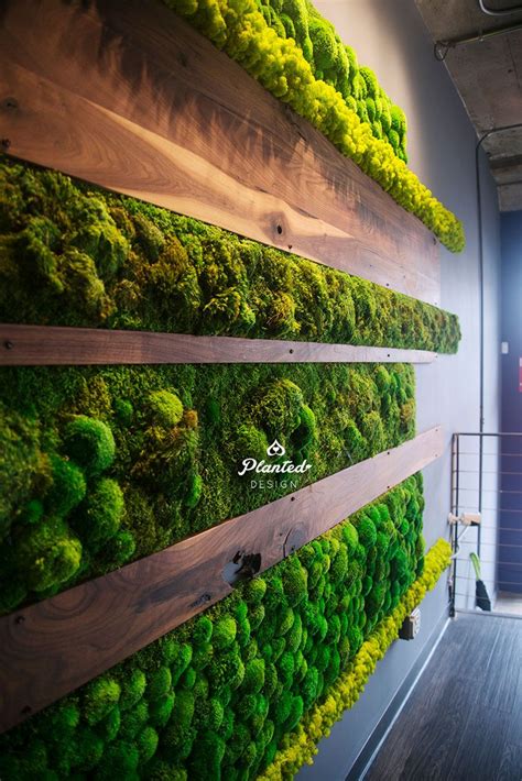 Green wall design, Moss wall, Moss wall art