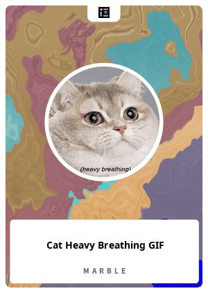 Cat Heavy Breathing Gif