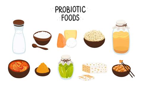 Discover the Best Foods Packed with Probiotics - Biom Probiotics