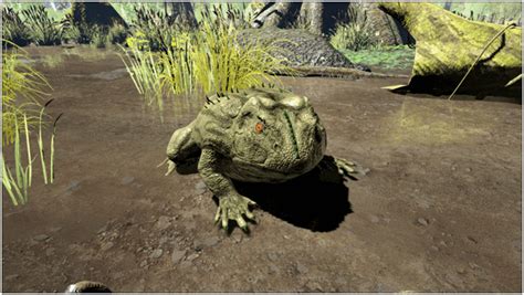 Ark Beelzebufo (Abilities, Taming, Food, Saddle, Breeding, Drops & Location) - ProGameTalk