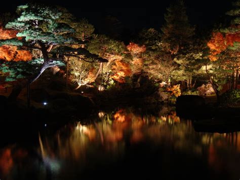 Japanese Garden at Night - a photo on Flickriver | Japanese garden lighting, Landscape lighting ...