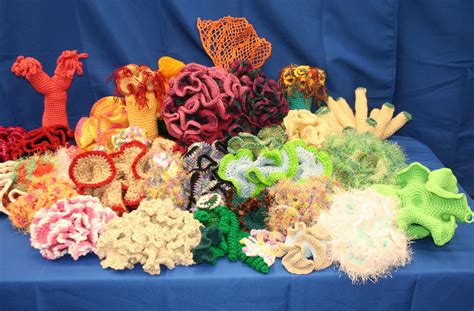 Oh my goodness! This is so awesome!!! - Crochet Coral Reefs - The Gainesville Florida Reef ...