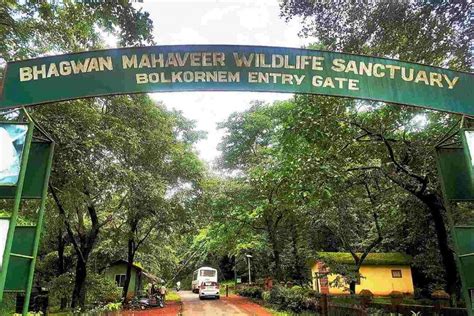 Bhagwan Mahavir Wildlife Sanctuary & Mollem National Park | Top Places ...