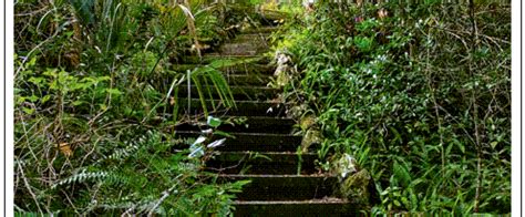 Geology in Ravine Gardens State Park | Florida State Parks