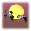 Great Blue Marble Birds. Bird Animations, Bird Cartoons, Bird Images, Bird Facts, and Bird News ...