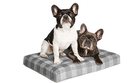 Dog Beds: Orthopedic & Heated Dog Beds | PetSmart