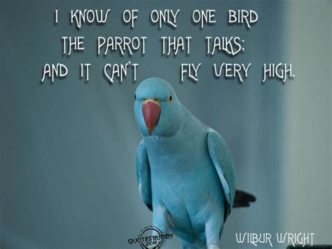 Parrots Quotes. QuotesGram