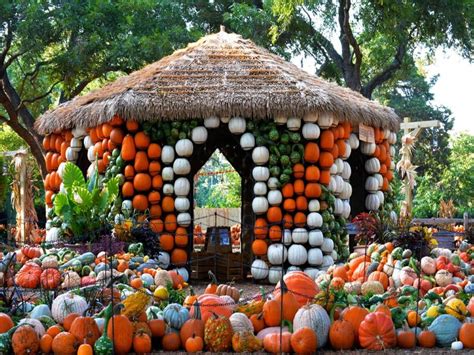 Dallas Arboretum And Botanical Garden Pumpkin Patch 2019 – Beautiful ...