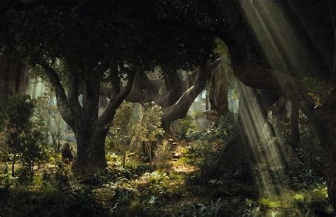 Best 5 Fangorn Forest on Hip, mirkwood HD wallpaper | Pxfuel