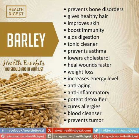 Barley | Barley health benefits, Barley benefits, Barley tea benefits