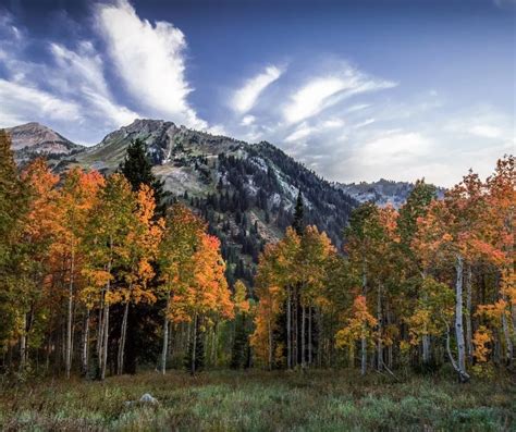 Fall in Utah- 12 Places to Enjoy Utah Fall Colors in 2023