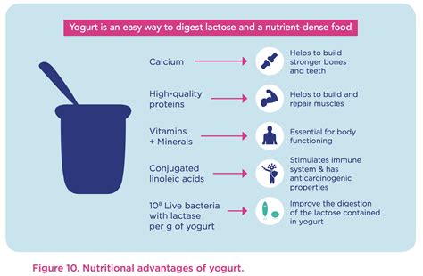 White book: the benefits of yogurt - Yogurt in Nutrition