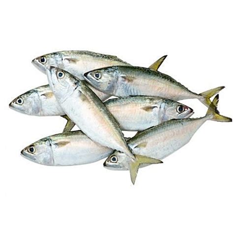 Buy Bengali Fish Corner Fish - Mackerel / Ayala / Bangda Online at Best ...