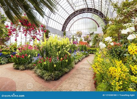 Winter Gardens, Auckland, New Zealand Editorial Image - Image of ...