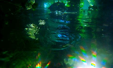 Top 10 Non-Touristy Cenotes In Mexico [2021 UPDATE] — DEWILDESALHAB武士 | Aesthetic gif, Green ...