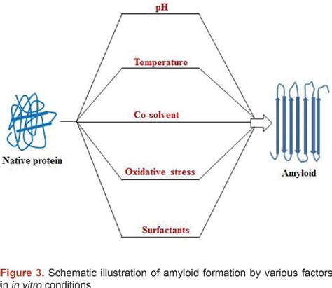 Figure 1 from Mechanisms of protein aggregation and inhibition ...