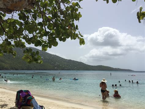 Magens Bay Beach St. Thomas, USVI My favorite beach St Thomas, Bay, Favorite Places, Water ...