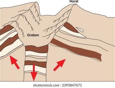 Geography Visual Horst Graben Mountain Landforms Stock Vector (Royalty ...