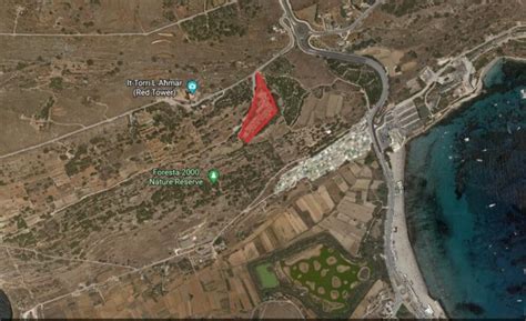 Leave Mellieħa’s Foresta 2000 site pristine! | BirdLife Malta