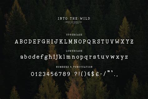 Into the Wild Font (Serif Fonts, Rough Fonts, Vintage Fonts) By Salt & Pepper Designs ...