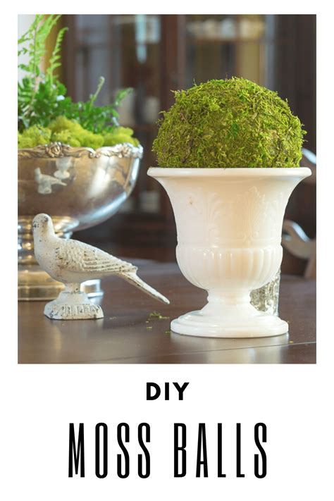 The EASIEST DIY Moss Balls · Nourish and Nestle