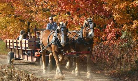 Nashville's 2021 Best Fall Hayrides | NashvilleLife.com