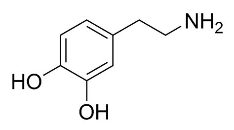 The dopamine molecule has an intermediate hydrop... - OpenStudy