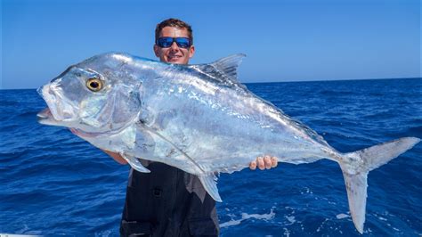 GIANT African Pompano! Catch Clean Cook (Slow Pitch Jigging)