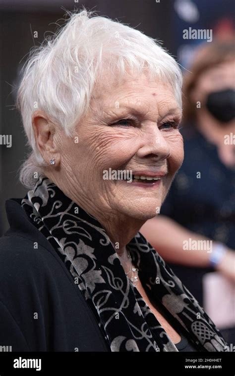 Judi Dench attending the Belfast Premiere as part of the 65th BFI ...