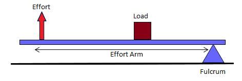 which of the lever is a force multiplier - Physics - Machines - 3697517 | Meritnation.com