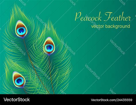 Details 300 peacock feather background hd - Abzlocal.mx