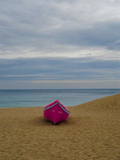 Pink Boat on Shore · Free Stock Photo