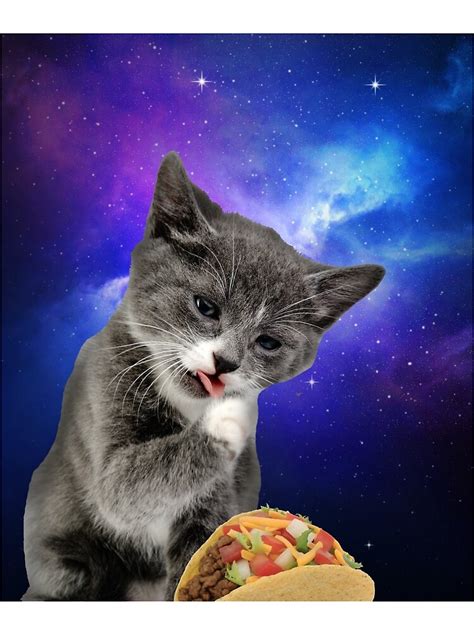 "Funny Cat Eating Taco In Space " T-shirt by Katnovations | Redbubble