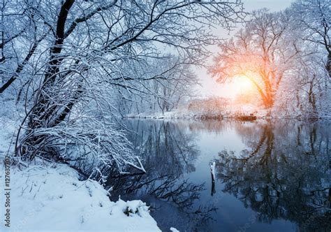 Beautiful winter in forest on the river at sunset. Winter landscape. Snowy branches on trees ...