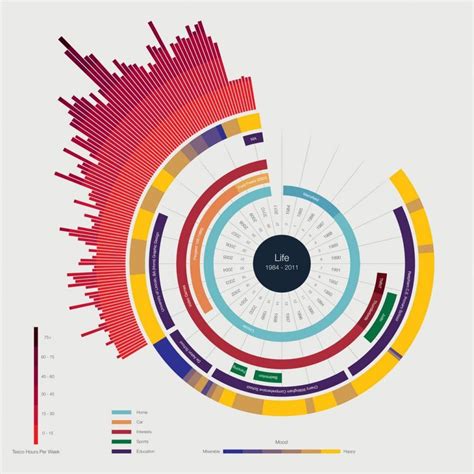 17 Beautiful Examples Of Clean And Minimal Infographics - Designbeep | Data visualization design ...