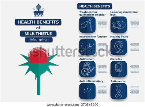 5 Thorne Supplement Benefits Images, Stock Photos & Vectors | Shutterstock