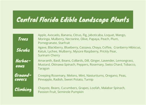 Edible Landscape Plants For Florida – Fl Gardening