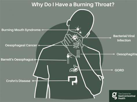 Burning Sensation in Throat: Causes & Remedies | CGH