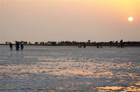 White Desert of Kutch - beauty of white sands with sunlight (2022)