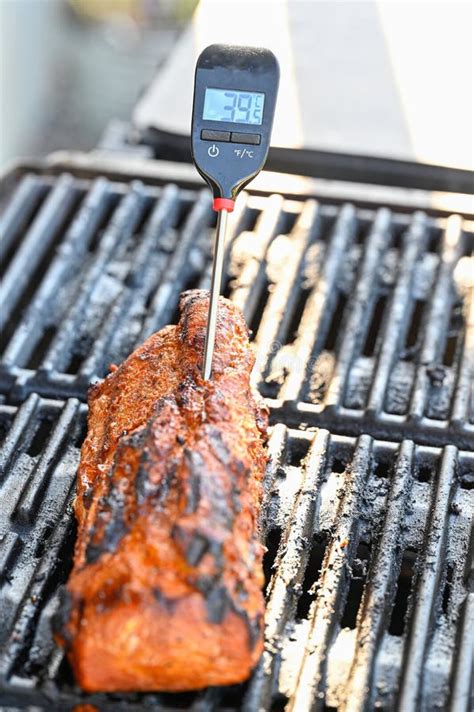 Meat Thermometer in Pork Tenderloin on Grill Stock Image - Image of home, golden: 250795161