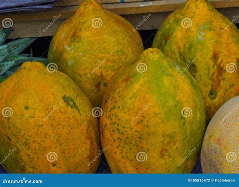 Babaco Fruit stock photo. Image of acid, high, harvest - 85816472