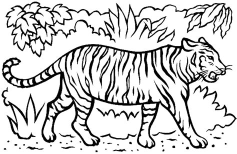 Printable tiger coloring page for kids - Tiger Coloring Pages for Kids