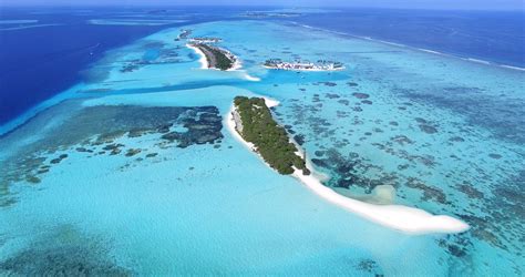 Top 7 Dive Sites In The Maldives - DeeperBlue.com