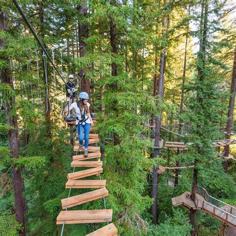 Take A Walk Above The Trees At Mount Hermon In Northern California | Hiking trails california ...