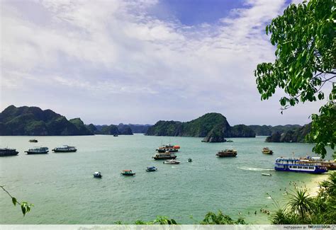 Visitors Flock To Cat Ba & Lan Ha Bay For Summer Vacations As Vietnam ...