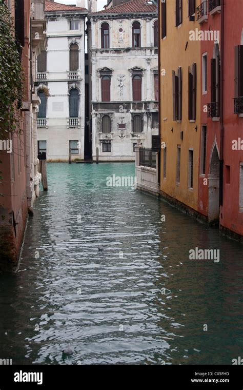 Photo of a typical canal Venice city Stock Photo - Alamy