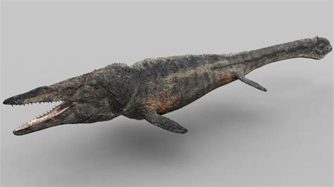 Mosasaur | Dinosaur Alive Wiki | FANDOM powered by Wikia