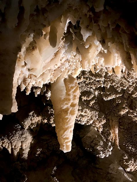 Tour Lake Shasta Caverns National Natural Landmark